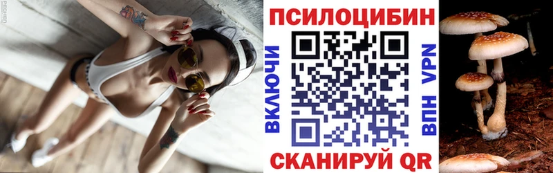 Галлюциногенные грибы Psilocybine cubensis гидра ТОР Сызрань